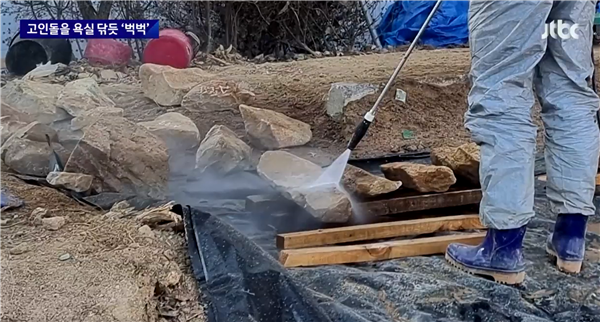 气哭网友：韩国2000年石墓被修复人员破坏