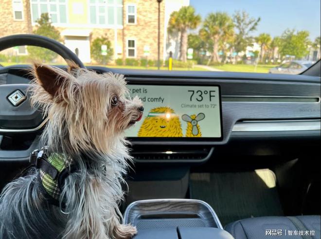 特斯拉推出“宠物模式”，需慎重考虑把狗狗单独留在车内