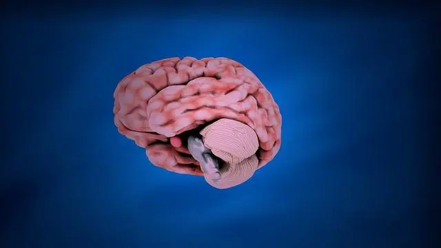 快来看看 你的大脑被开发了多少？